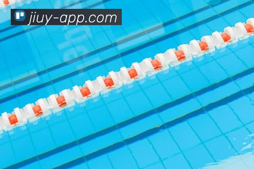 九游体育:引领数字化竞技内容传播与交互的新标准平台生态图